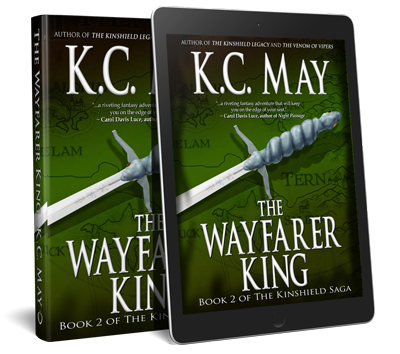 The Wayfarer King book cover